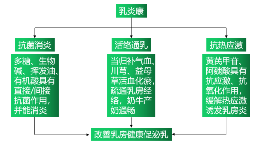6114d98c9d216