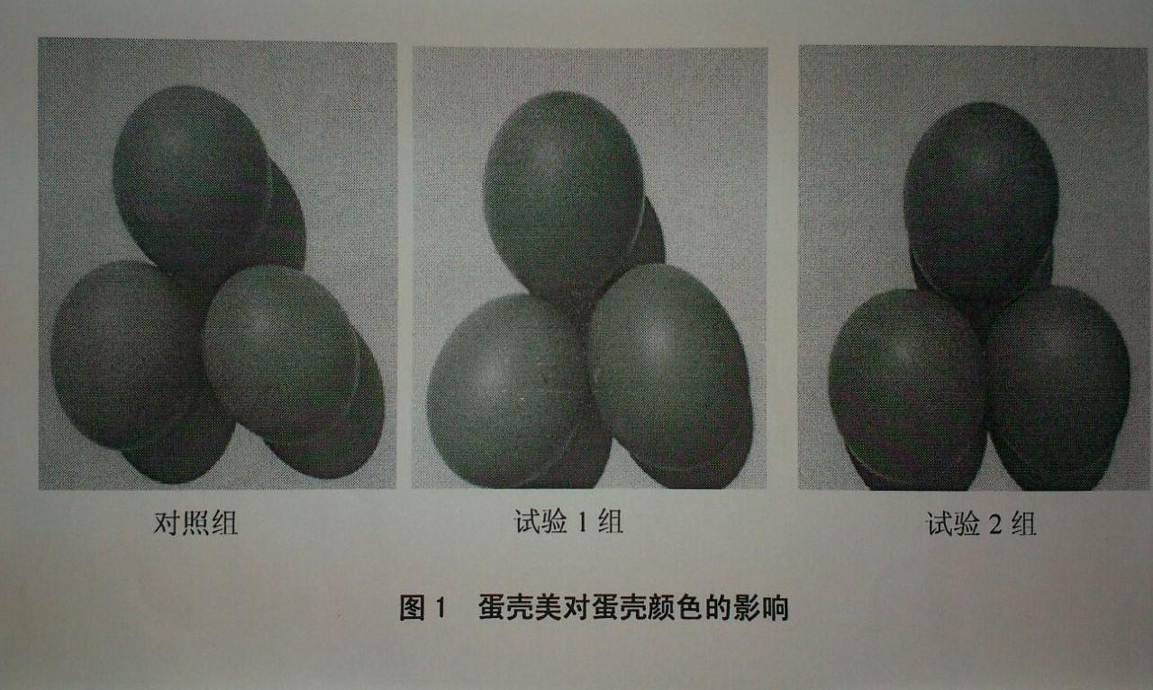 bevictor伟德-bv伟德国际体育官方网站