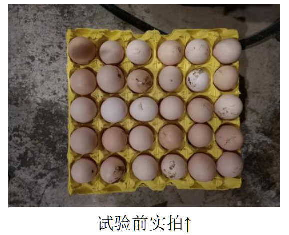 bevictor伟德-bv伟德国际体育官方网站